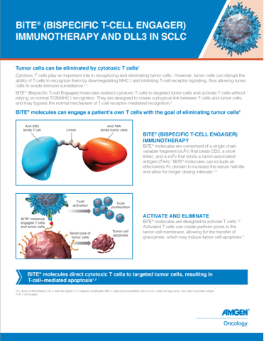 Investigational DLL3 & T-Cell Engager Technology For SCLC | DLL3 ...